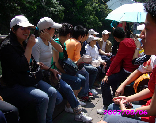 Wencheng gorge forest ridge